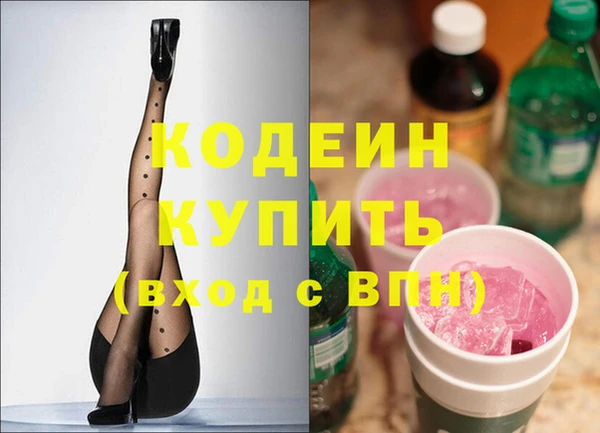 стафф Арсеньев