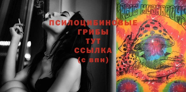 стафф Арсеньев