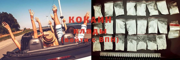 стафф Арсеньев