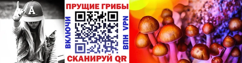 Галлюциногенные грибы Psilocybine cubensis  купить наркотики сайты  Валуйки 